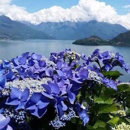 Agriturismo Piccolo Paradiso Pianello Del Lario Εξωτερικό φωτογραφία