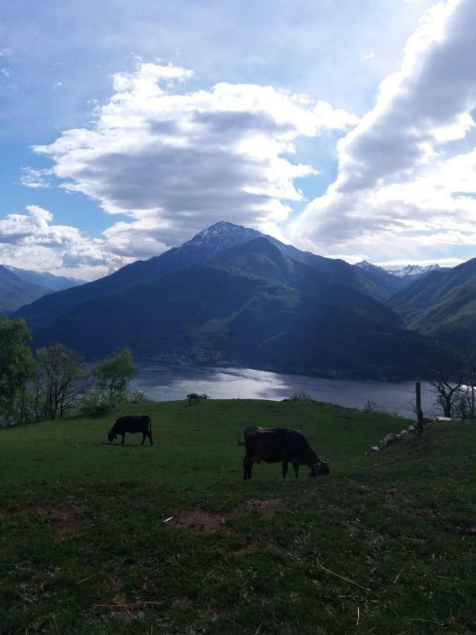 Agriturismo Piccolo Paradiso Pianello Del Lario Εξωτερικό φωτογραφία