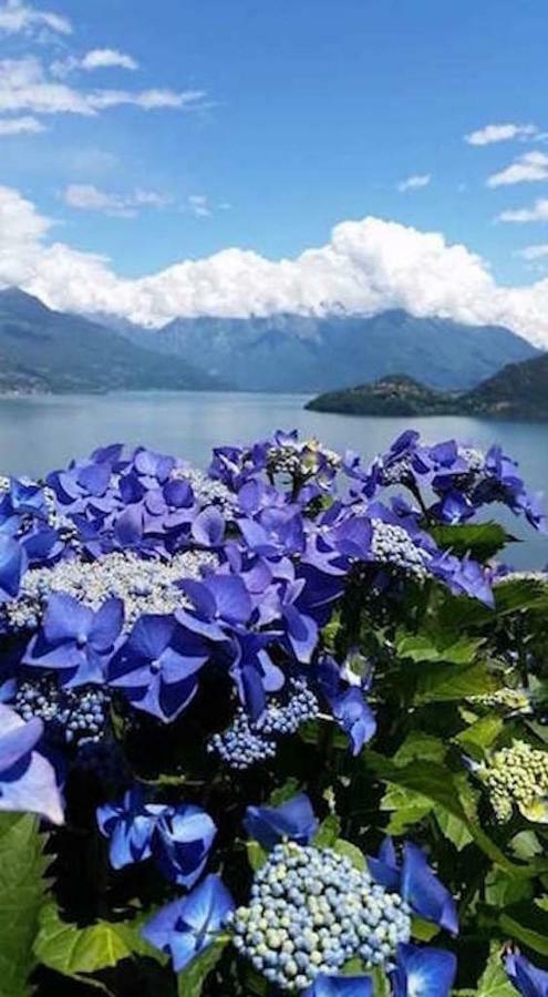Agriturismo Piccolo Paradiso Pianello Del Lario Εξωτερικό φωτογραφία