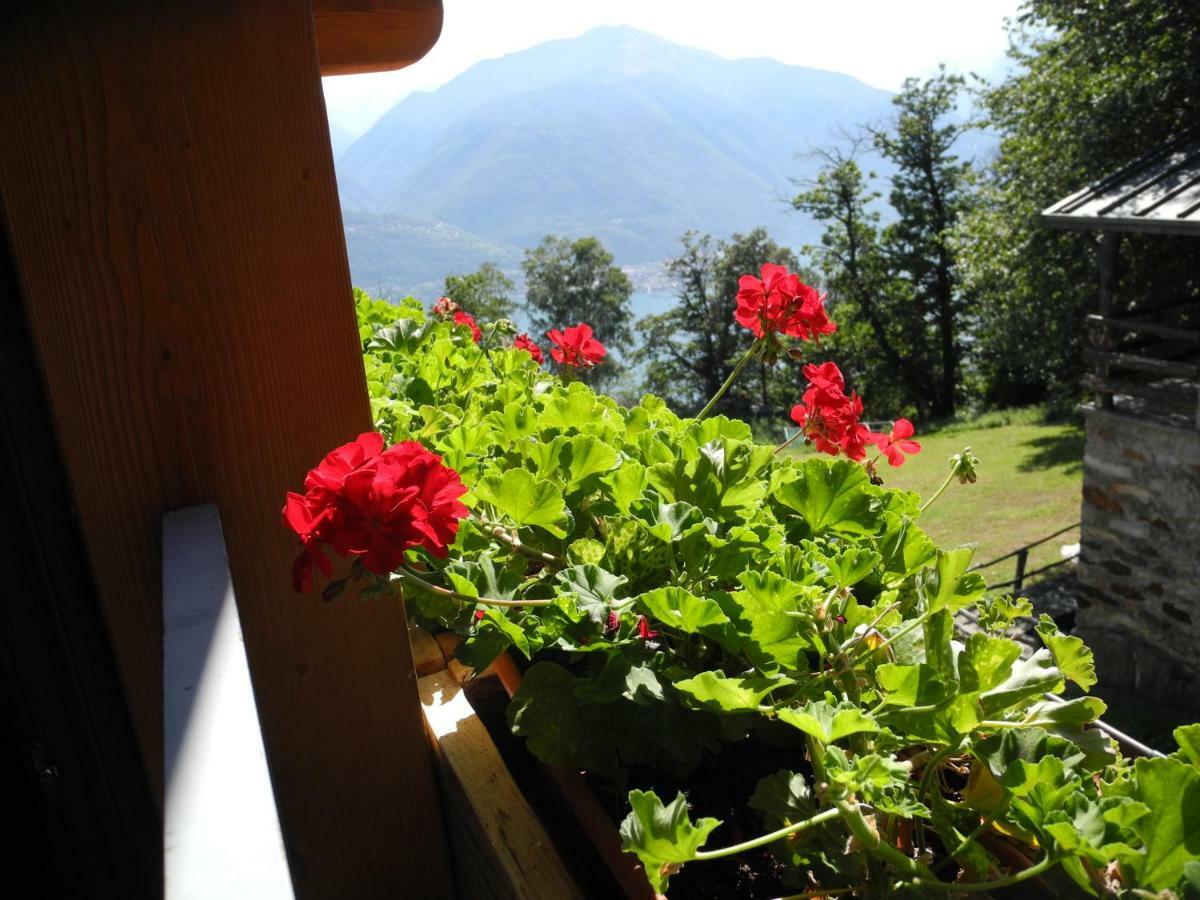 Agriturismo Piccolo Paradiso Pianello Del Lario Εξωτερικό φωτογραφία