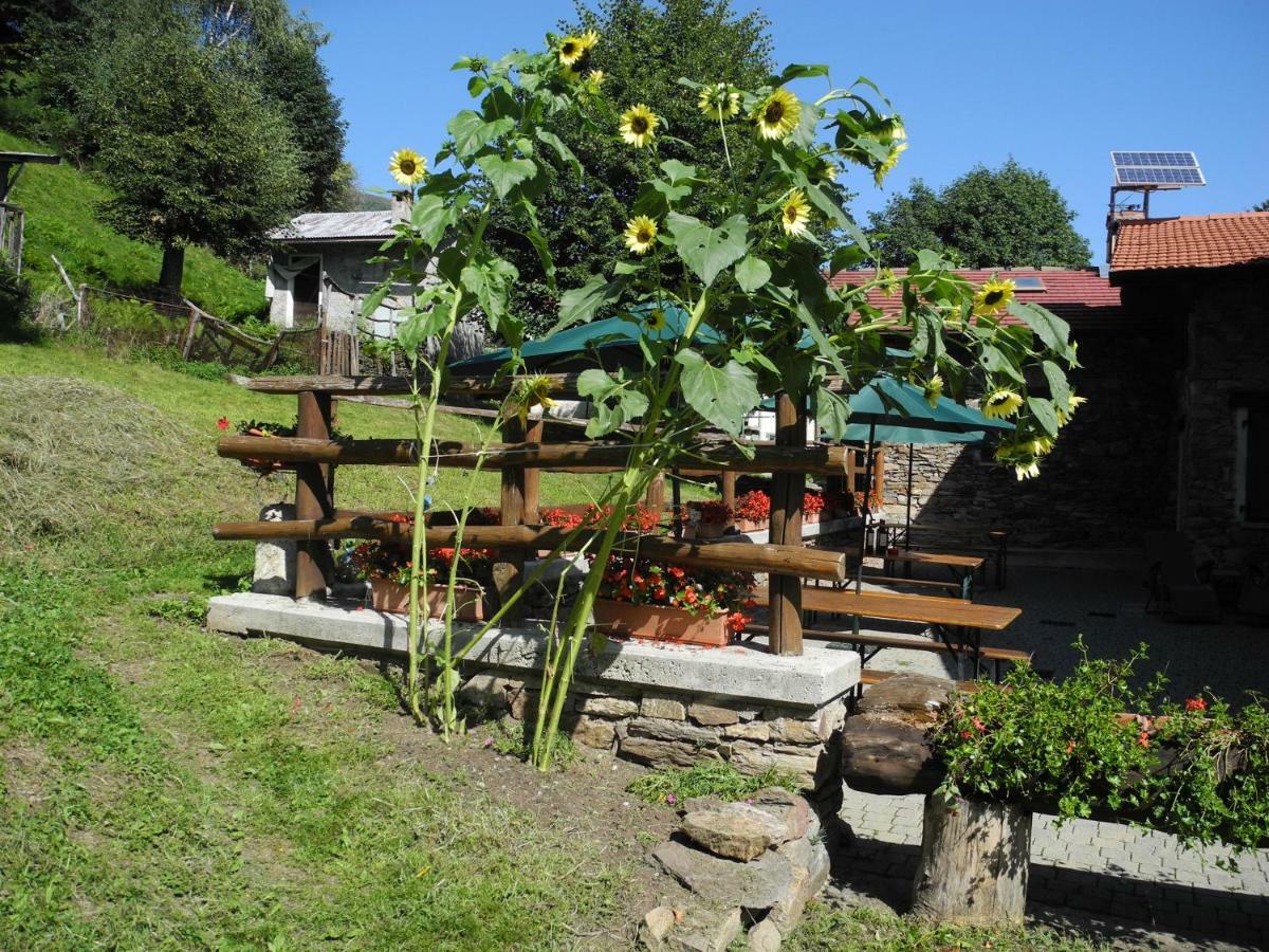 Agriturismo Piccolo Paradiso Pianello Del Lario Εξωτερικό φωτογραφία